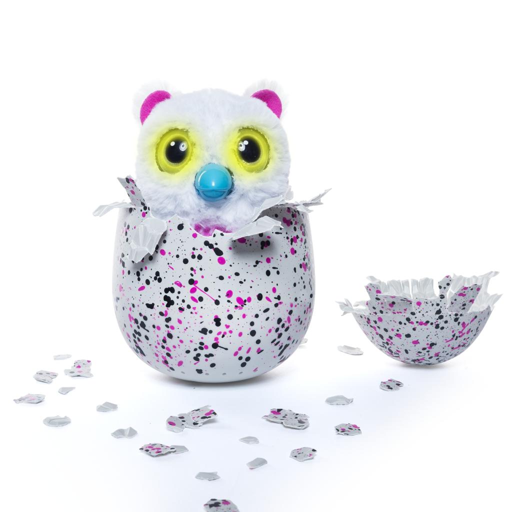 What are Hatchimals? (as heard on John & Ray) | WLS-AM 890 | WLS-AM1024 x 1024